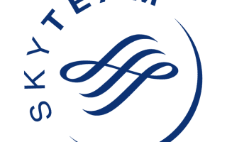 SkyTeam Logo