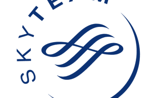 SkyTeam Logo