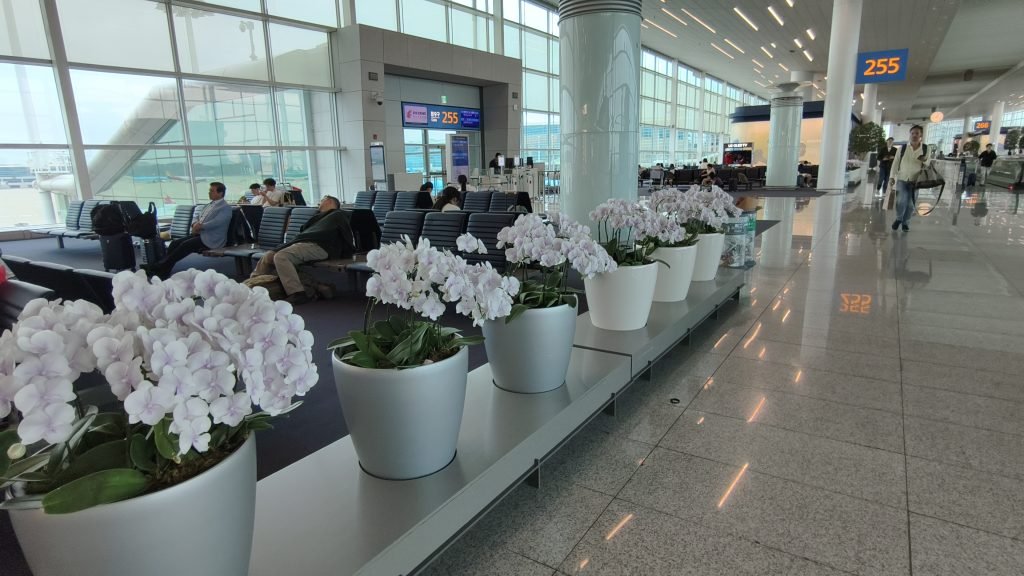 Seoul Airport Fresh Flowers