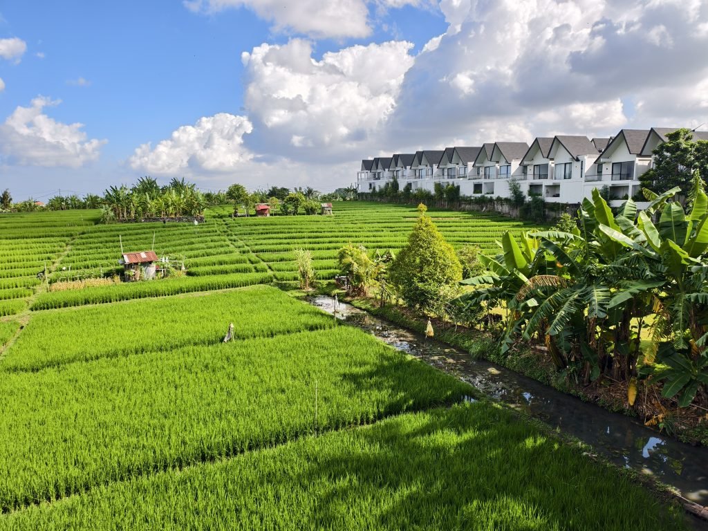 Is Bali Still Worth Visiting in 2026? 1 Bali Rice Fields Cover