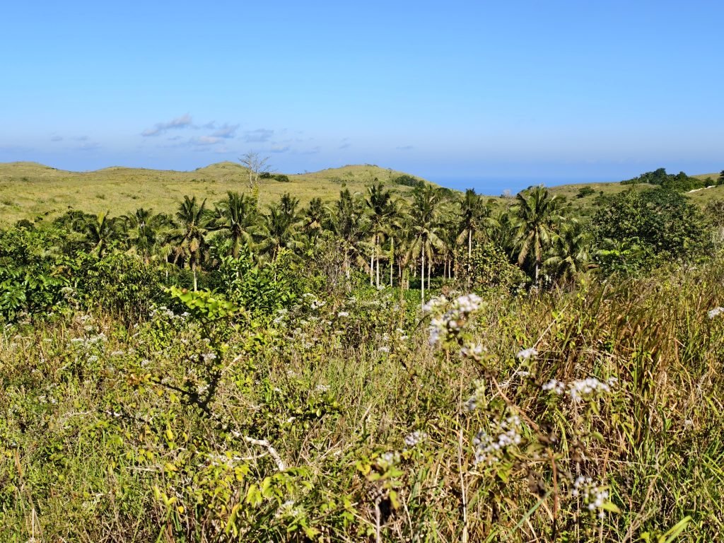Hike to Teletubies Hill