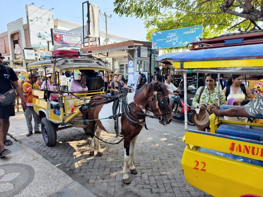 Horse carriages Gilli T Horse carriages Gilli T