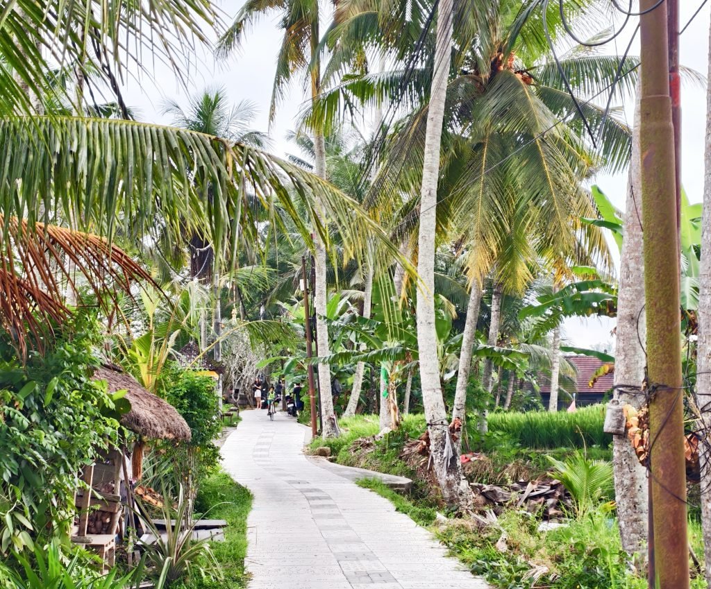 Walk to Kajeng Rice Field