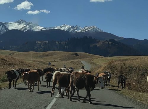 Enroute-to-Black-Canyon-Kazakhstan