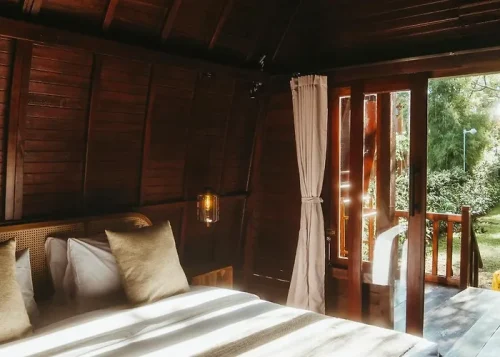King-Spa-Room-Savanna
