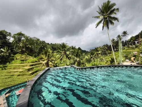 Pool-at-Tegalalang-rice-terrace