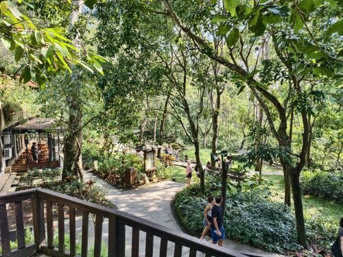 Sacred-Monkey-Forest-Sanctuary