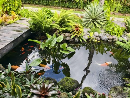Savanna-Ubud-Fish-Pond