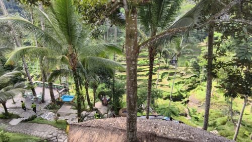 Tegalalang-rice-terrace